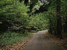 Фестиваль «Макушка лета» прошел в Битцевском лесу