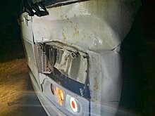 В Сортавальском районе пассажирский автобус насмерть сбил лося