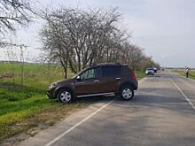 Семилетнюю девочку сбили насмерть в Красногвардейском районе Ставрополья