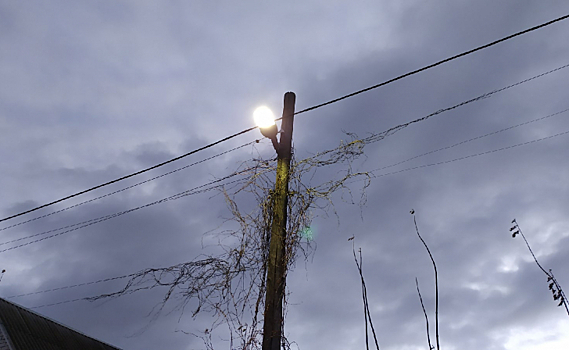 В Курске на улице Союзной заменили почти 2 тыс метров ветхих сетей освещения