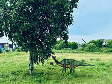 Не имеет смысла: Благовещенск отказывается от побелки деревьев