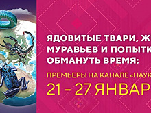 Ядовитые твари, жизнь муравьев и попытка обмануть время: новинки на телеканале «Наука»