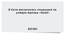 В Сети восхитились плывущей по улицам Адлера «Окой»