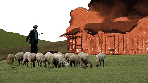 Дагестанских пастухов прогнали с чеченских пастбищ и сожгли их хижины