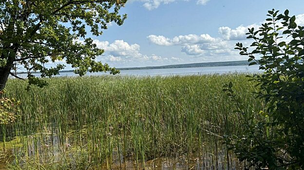 В Сурском водохранилище рыбак нашел тело мужчины