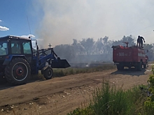 Природные пожары участились на Алтае