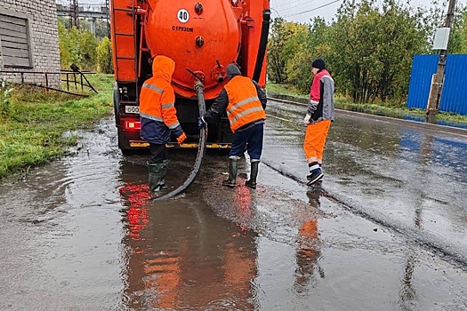 В Мурманске сильный циклон повалил деревья на улицах