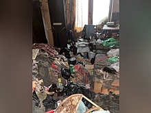 Москвичка купила квартиру по соседству с жильем, наполненным трупами