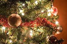 «Самую скромную рождественскую ель в мире» продали за несколько тысяч долларов