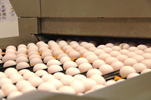 Губернатор Рязанской области Павел Малков сообщил об успехах  в сельском хозяйстве региона