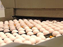 Губернатор Рязанской области Павел Малков сообщил об успехах  в сельском хозяйстве региона