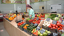 В Вологде открылся фермерский рынок