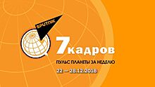 7 кадров: Sputnik Эстония за неделю 22-28.12.2018