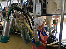 Названо самое вкусное российское молоко