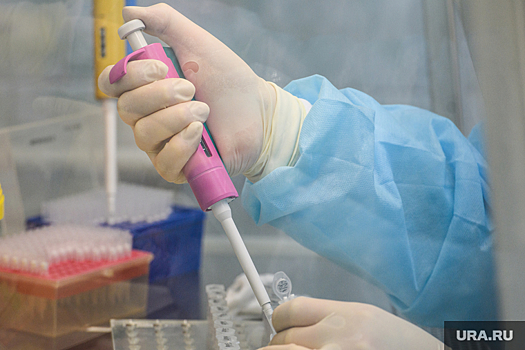 «Инвитро»: уровень коллективного иммунитета в России достиг 80%