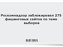 Роскомнадзор заблокировал 275 фишинговых сайтов по теме выборов