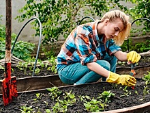 Какие опасности поджидают на участке и как их избежать