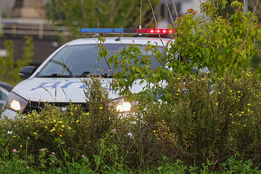 Пять человек погибли в ДТП с БМВ и «Фордом» в российском регионе