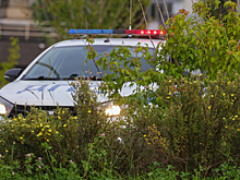 Пять человек погибли в ДТП с БМВ и «Фордом» в российском регионе