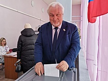 Спикер Тамбовской облдумы Евгений Матушкин проголосовал на выборах