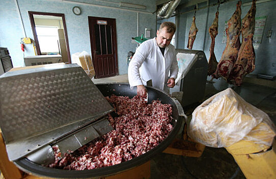 Россельхознадзор нашёл нарушения в одном из красноярских мясных цехов