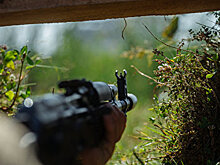 Чеченская война приходит в Украину