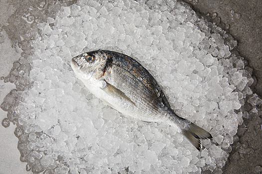 Вещества в морепродуктах повышают риск ожирения