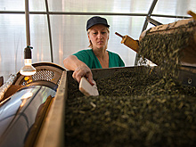 Производитель чая и сахарозаменителей Milford продал бизнес в России