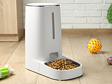 Автокормушка: как выбрать идеальное устройство для вашего питомца