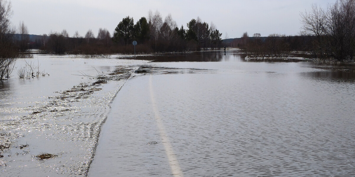 Уровень реки Обь у города Колпашево за сутки вырос почти на метр