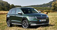 Skoda Karoq и Rapid занимают позиции лидеров по продажам