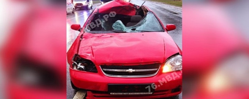 В Ярославской области водитель попал в больницу после столкновения его машины с лосем