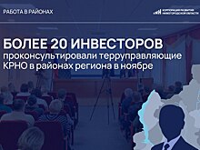 Консультации для 22 компаний провели в муниципалитетах территориальные управляющие Корпорации развития в ноябре