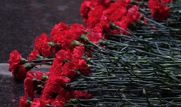 В Волгоградской области почтили память Героя России Александра Колгатина