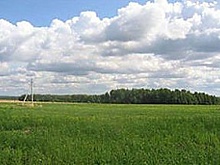 В районах Камчатки объявили повышенный класс пожарной опасности