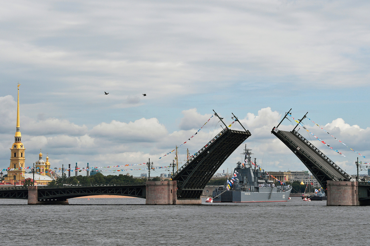 В Петербурге впервые за 40 лет построят новый разводной мост через Неву