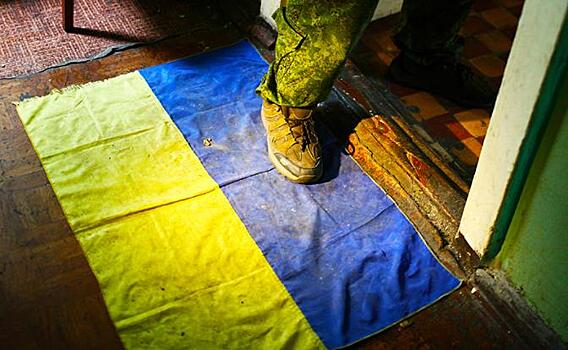 Признание ЛДНР может привести к "эффекту домино" для Украины