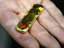 Россияне переплавили сотню килограммов золота и серебра в слитки для вывоза за границу