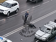 Легковушка в Кузбассе сбила пенсионера на пешеходном переходе