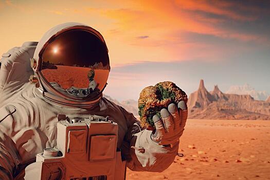 Когда-то на Марсе была жизнь, похожая на земную — исследование
