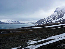 Постпред РФ в Вене: переговоры по ядерной сделке возобновят после инаугурации президента