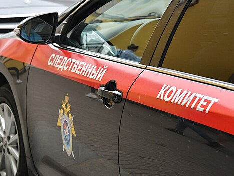 СК добился выплаты долгов по зарплате на 68 млн руб работникам фирмы в Москве