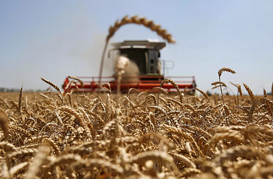 Спрос на российскую пшеницу превысил предложение