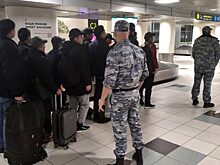 ФССП передала пограничникам 85 нелегальных мигрантов