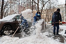 Актёр Половцев призвал властей Петербурга серьезнее относиться к уборке города