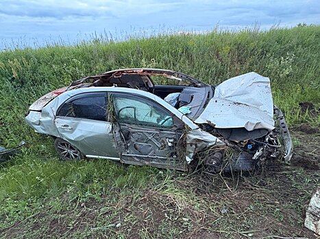 В Сарапульском районе водитель сбил лося и погиб в ДТП