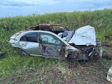 В Сарапульском районе водитель сбил лося и погиб в ДТП