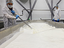 В России перепроизводство молока, но цены падать не будут