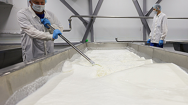 В России перепроизводство молока, но цены падать не будут