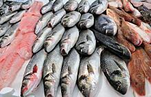 РФ готова подписать с КНР меморандум о контроле безопасности рыбной продукции